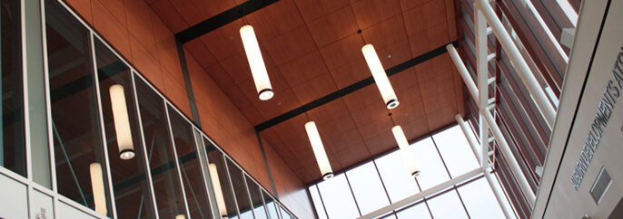 specialty wood ceiling